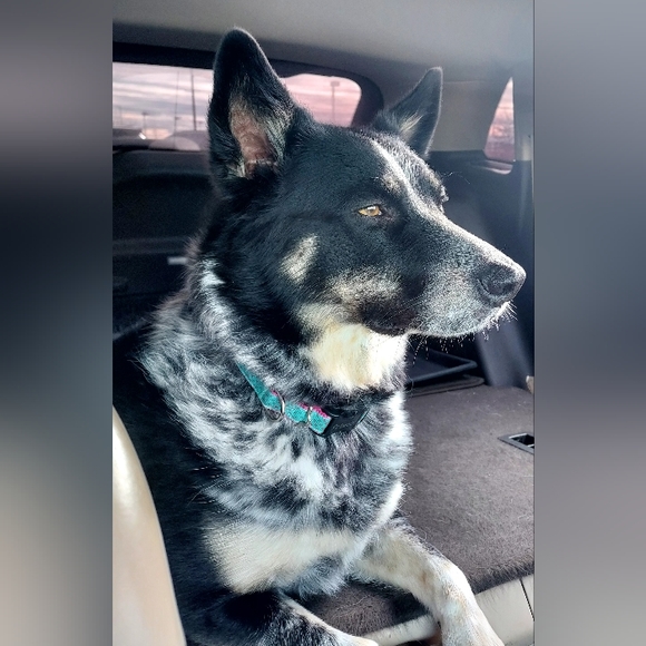 COPY - MISSY'S BLOG - Picture 1 of 8